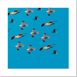 Flock of seagulls in flight art pattern Posters and Art